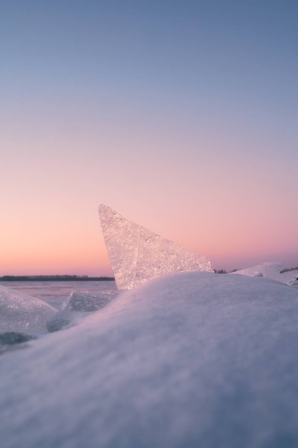 Фотография #13182717