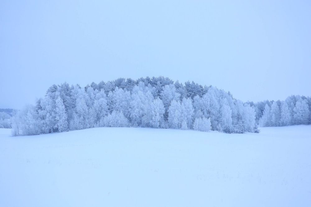 Photograph by Анастасия Малькевич