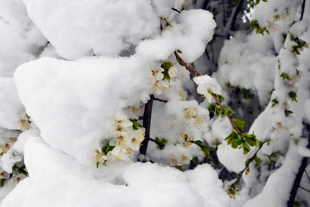 Фотография автора ВЛАДИМИР Тертышник