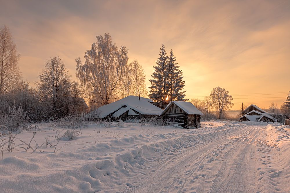 Photograph by Владимир Петухов