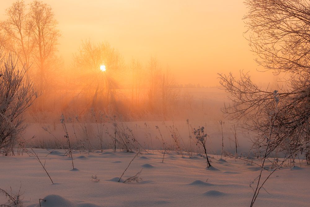 Photograph by Владимир Петухов