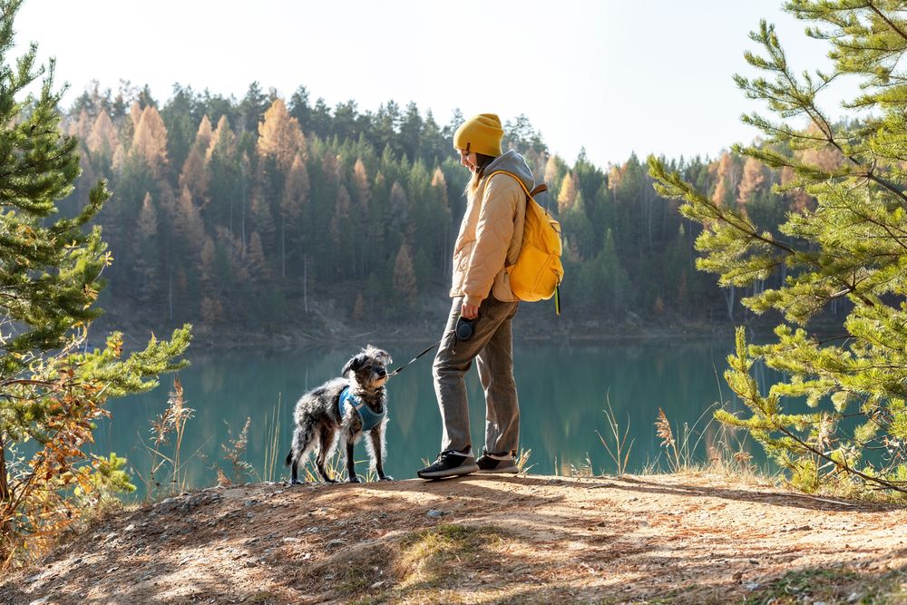 Photograph by Елена Гоосен