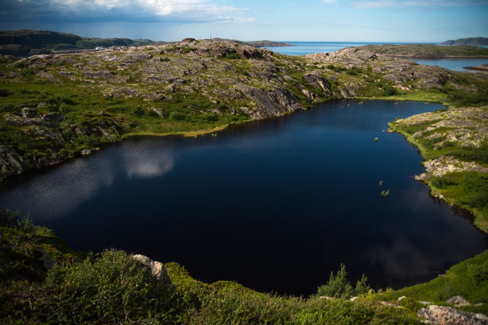 Фотография автора Ксения Рябухина