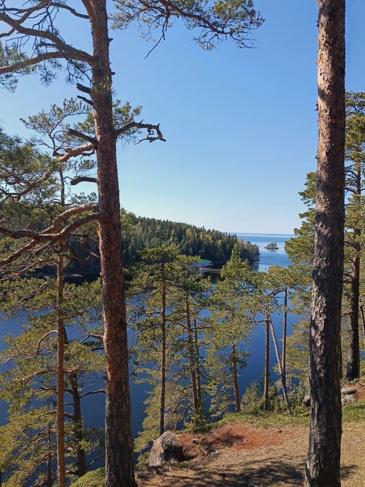 Photograph by Светлана Рубцова