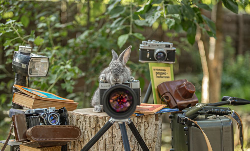 Фотография автора Михаил Лупина