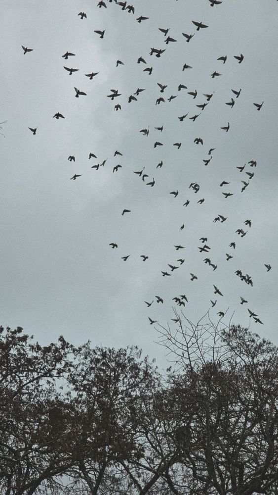 Photograph by Ольга Рыняк