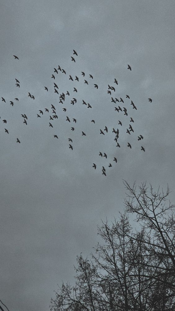 Photograph by Ольга Рыняк