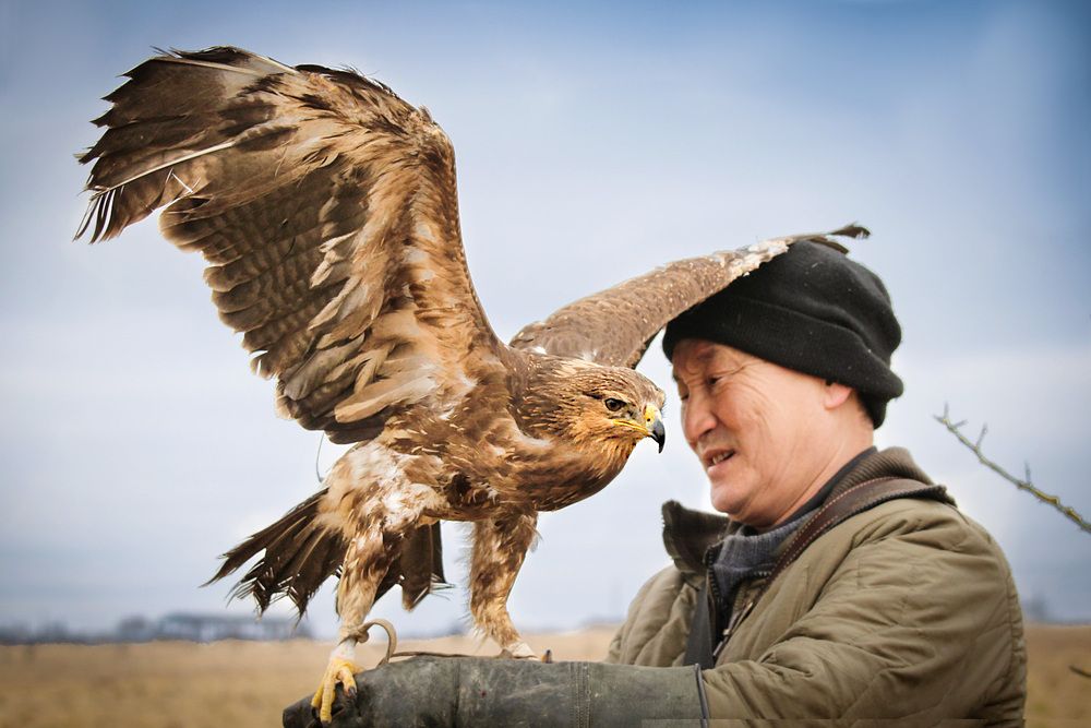 Photograph by Шруб (Беляева) Татьяна