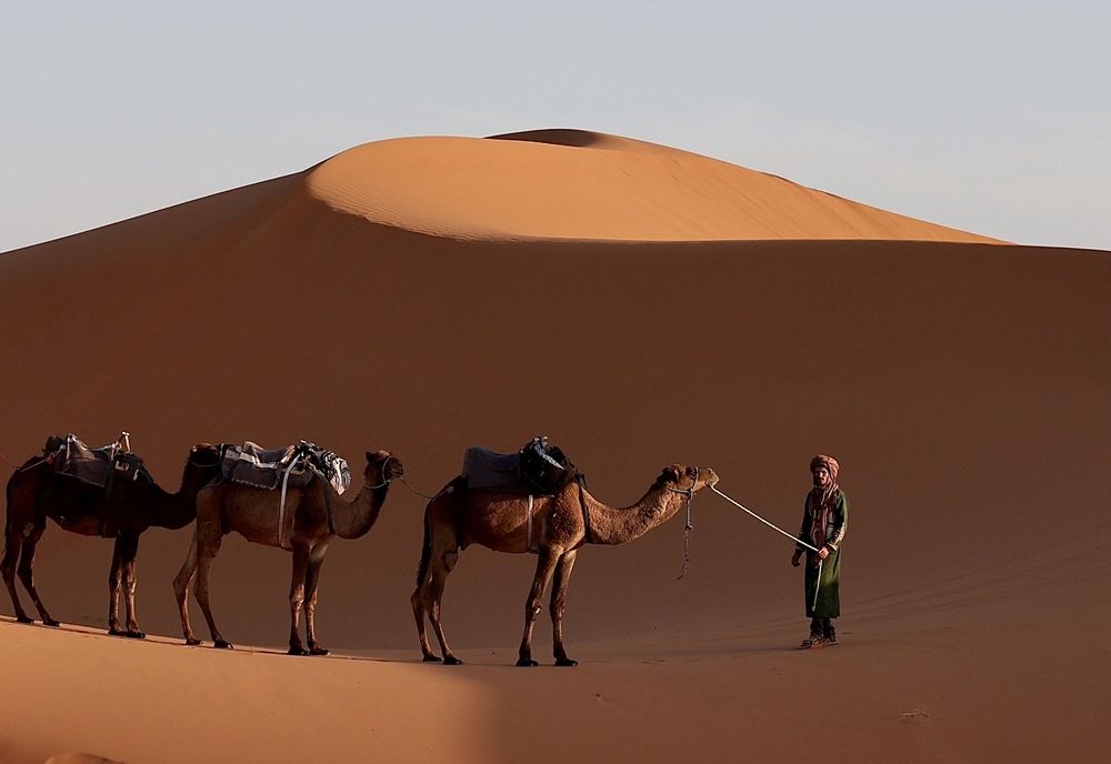 Photograph by Голубков Леонид