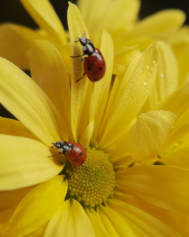 Photograph by Анна Чичилова