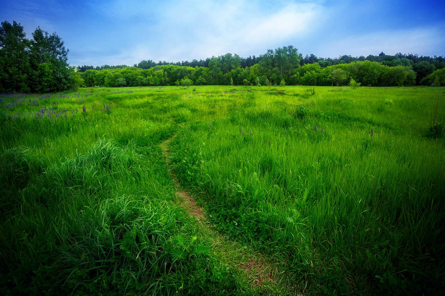 Фотография #13182885