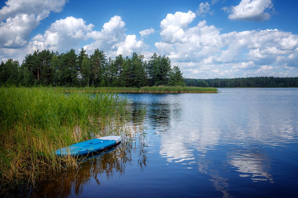Фотография автора Алексей Трифонов