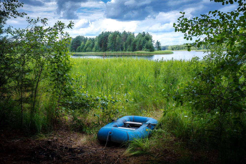 Фотография автора Алексей Трифонов