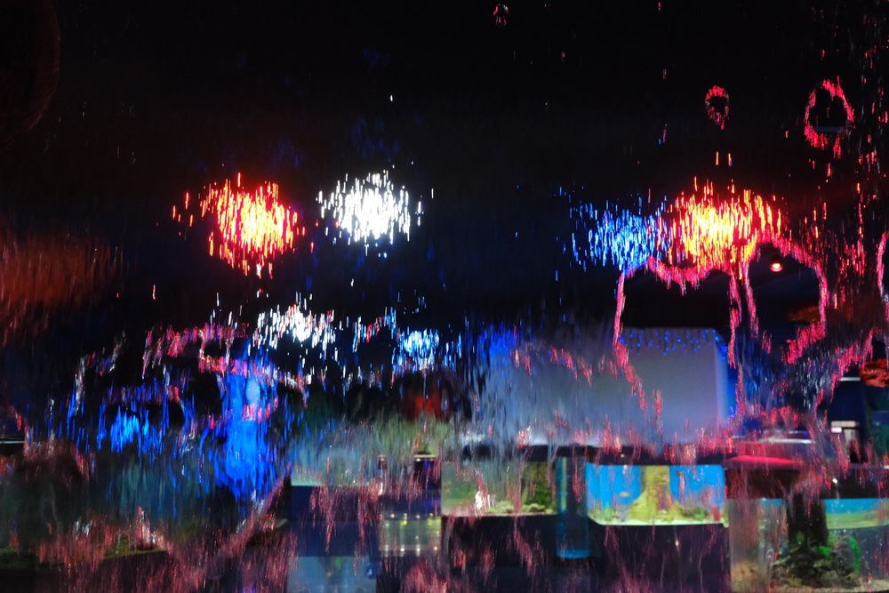 Фотография автора Татьяна Жуняк