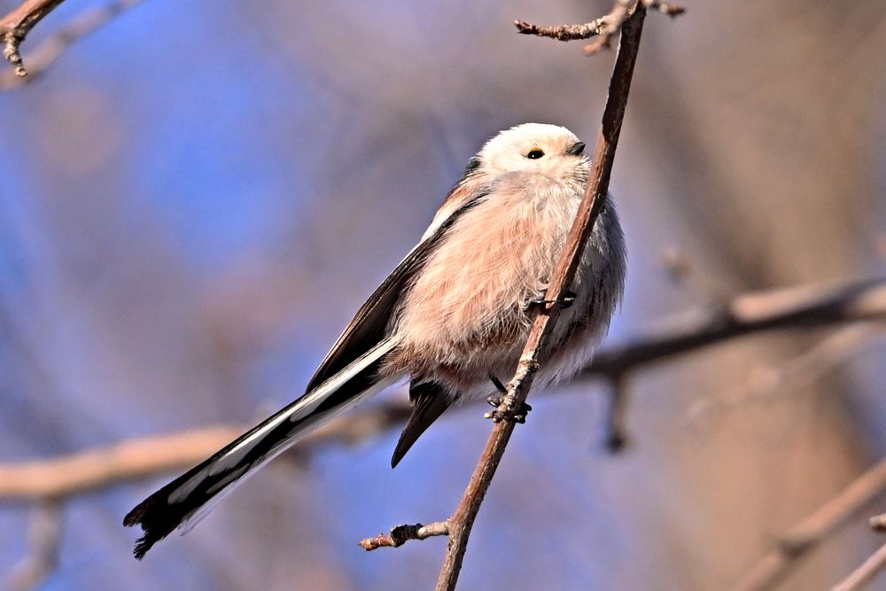 Photograph by Игорь Седунов