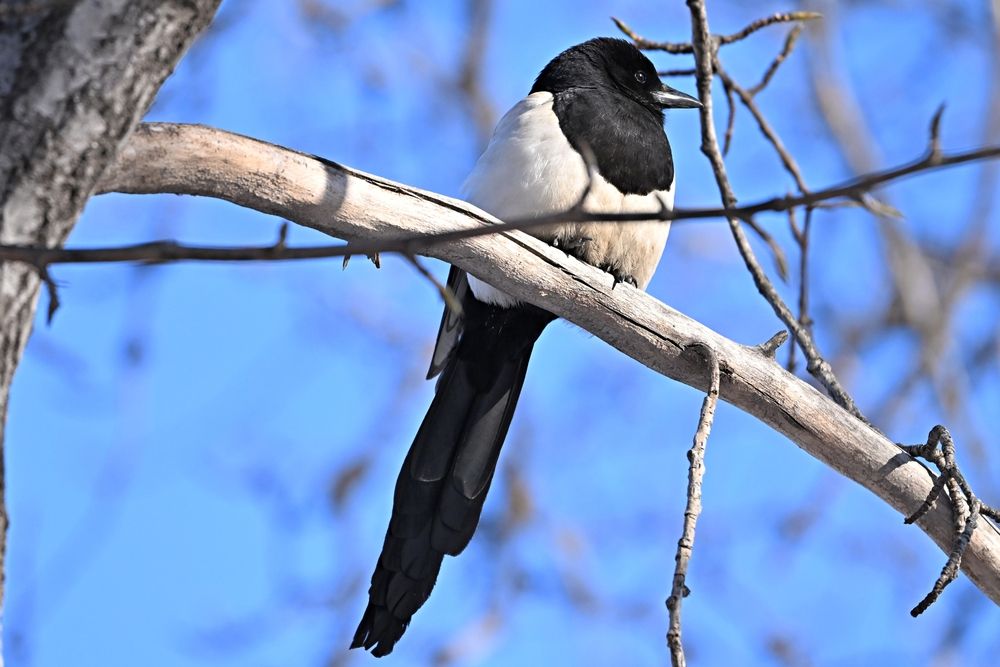 Photograph by Игорь Седунов