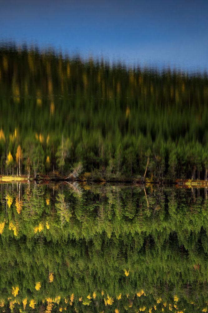 Фотография автора Ксения Рябухина