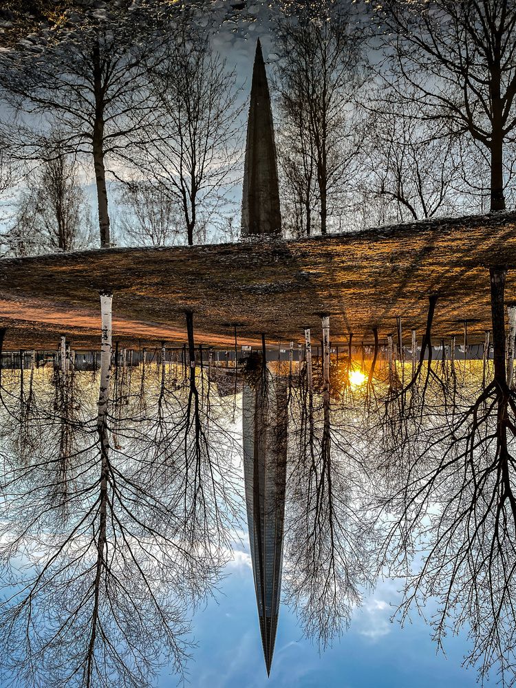 Фотография автора Дарья Бойкова