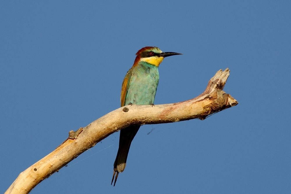 Фотография автора Голубков Леонид