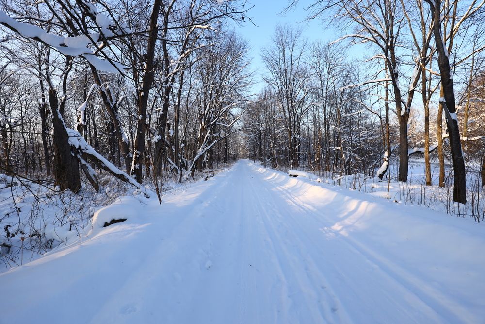 Photograph by Александр Евстигнеев