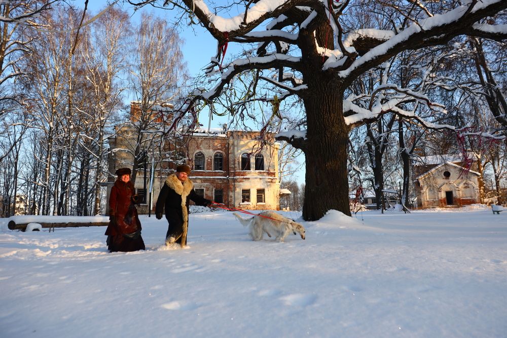 Photograph by Александр Евстигнеев