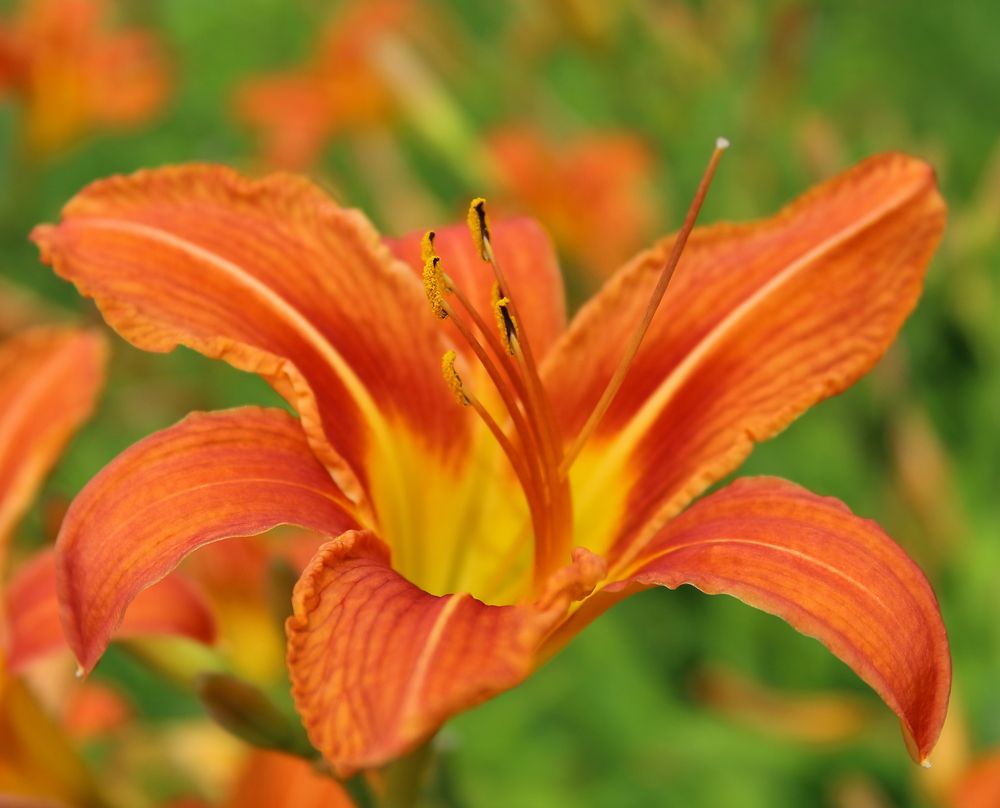 Photograph by Нина Титенкова