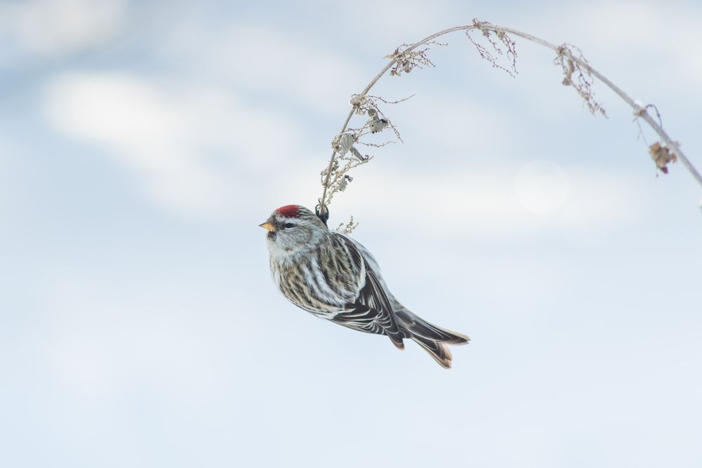 Фотография автора Суслов Дмитрий