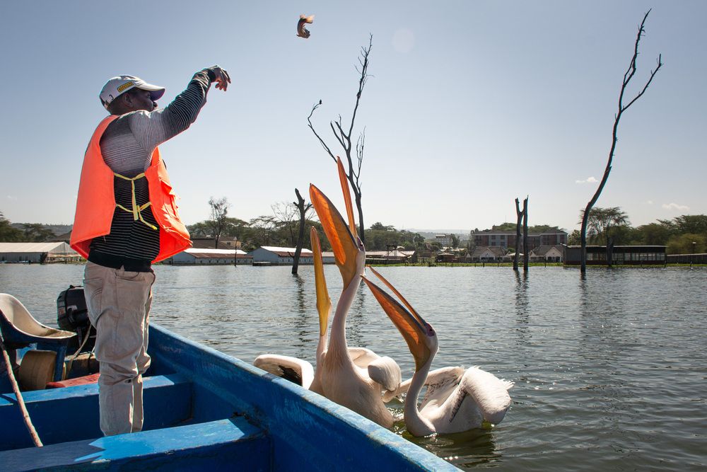 Photograph by Наталья Кокорина