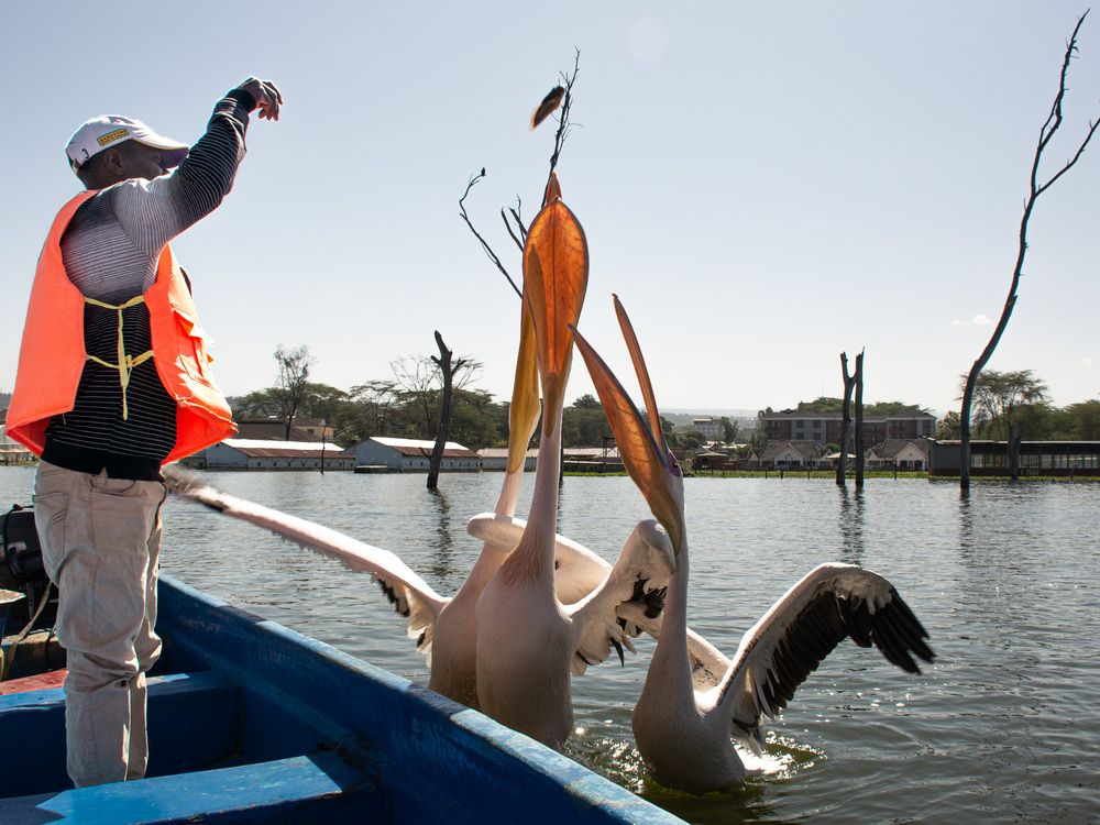 Photograph by Наталья Кокорина