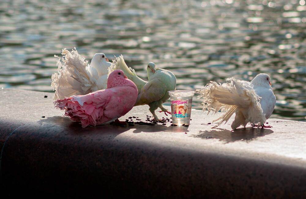 Photograph by Владимир Арбесман