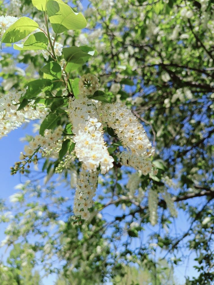 Photograph by Воронова Светлана