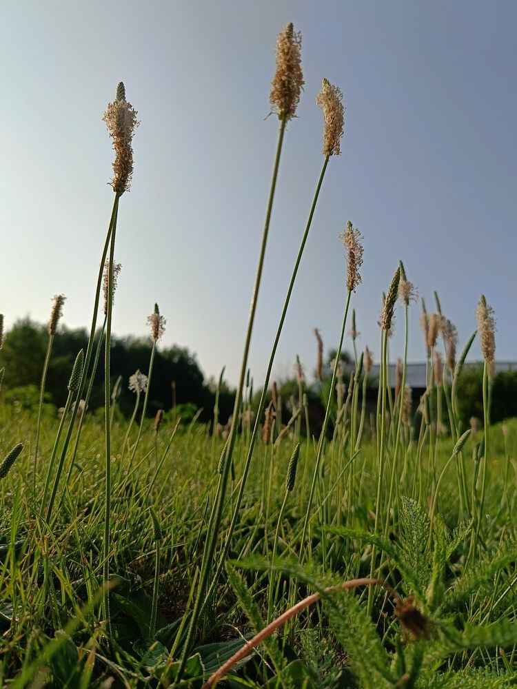 Photograph by Воронова Светлана