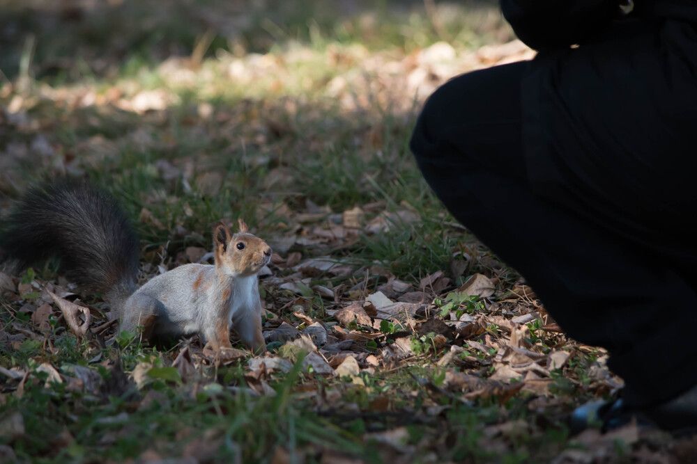Photograph by Наталья Сорокина