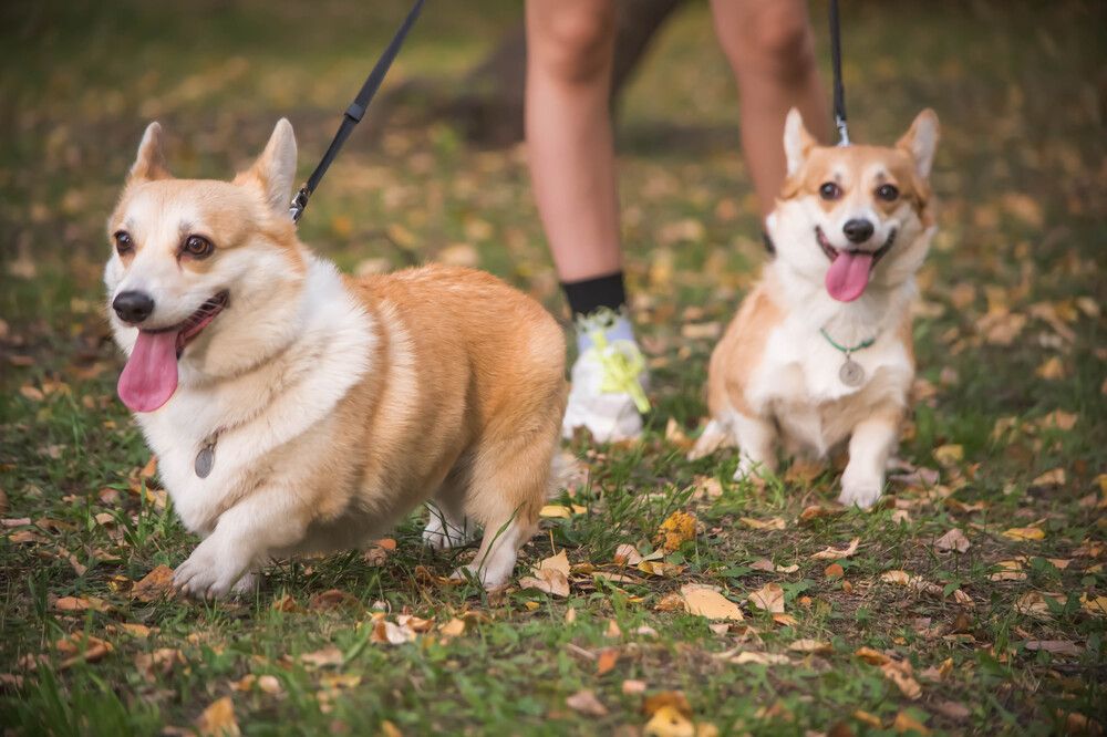 Photograph by Наталья Сорокина