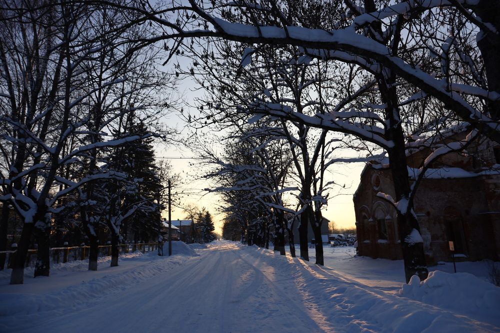 Photograph by Александр Евстигнеев