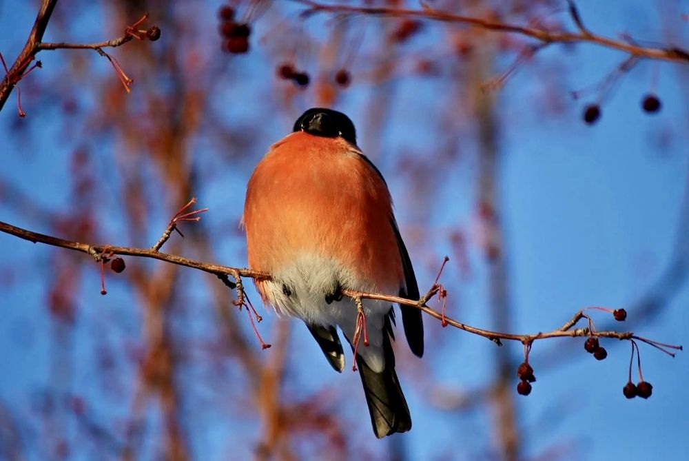 Photograph by Марина Мишутина