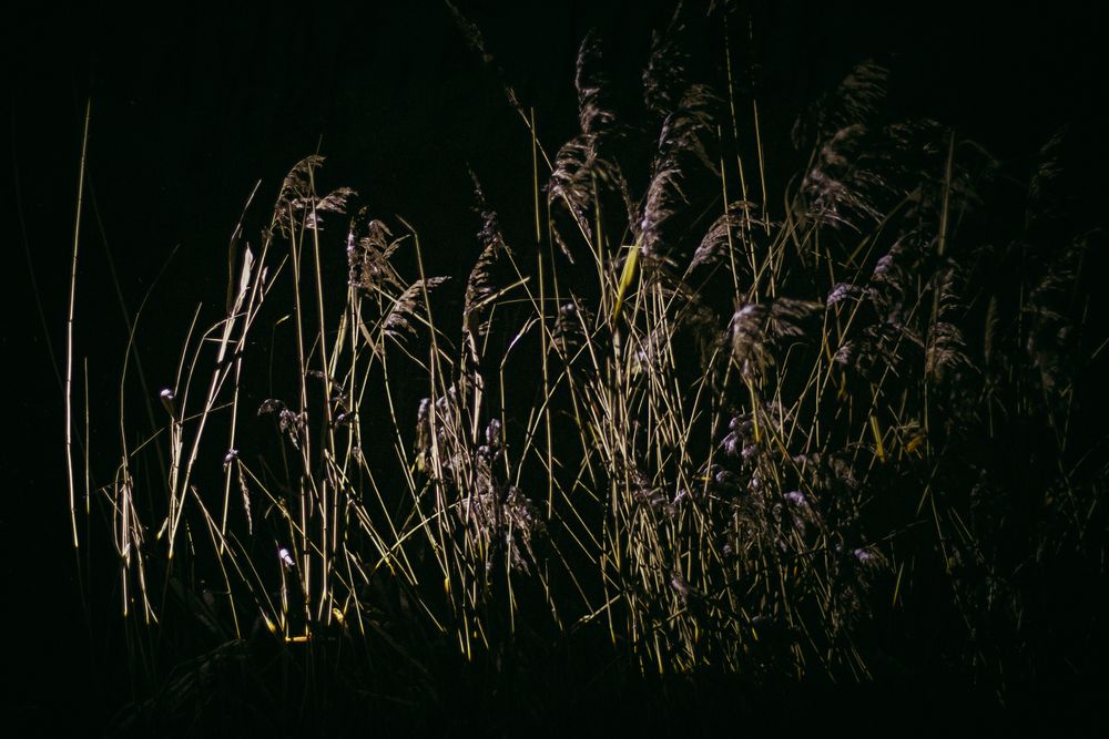 Photograph by Алексей Морозов