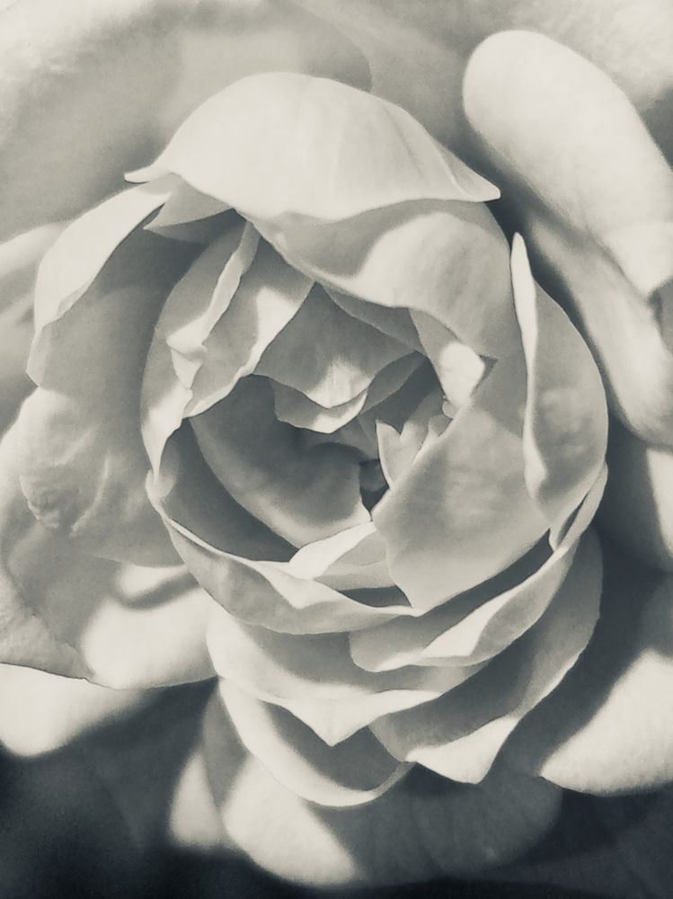 Photograph by Юлиана Чудакова