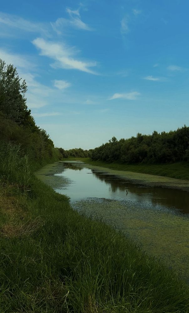 Photograph by Оксана Сафина