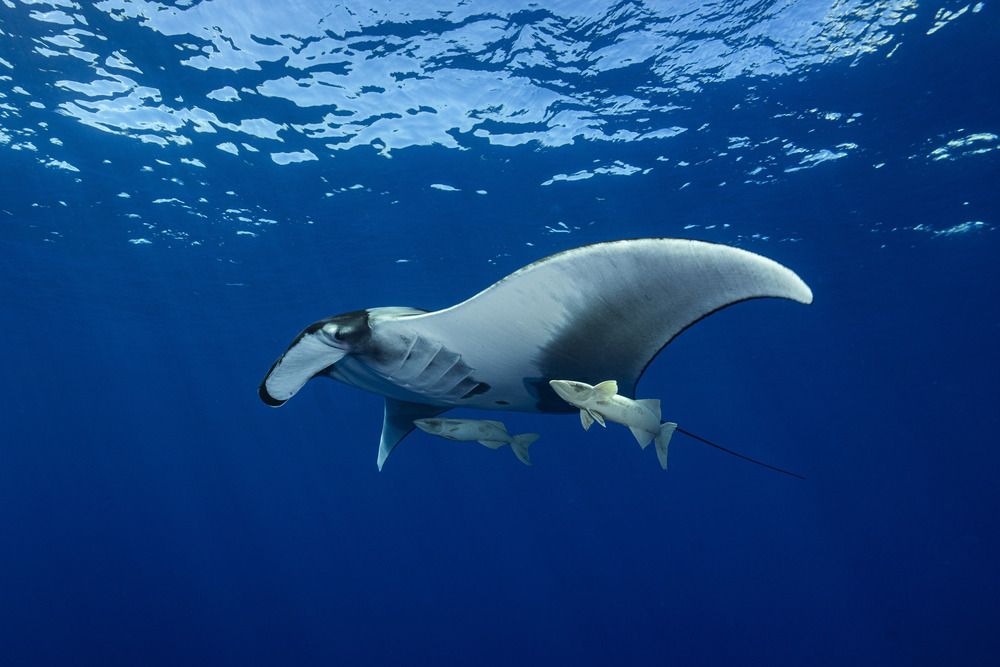 Photograph by Gabriel Vieira Costa