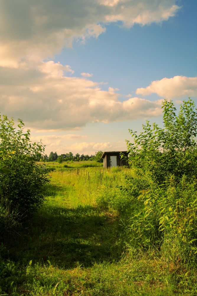 Photograph by Эмма Астапова