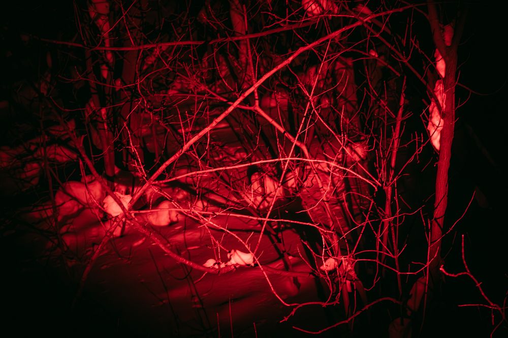 Photograph by Алексей Морозов