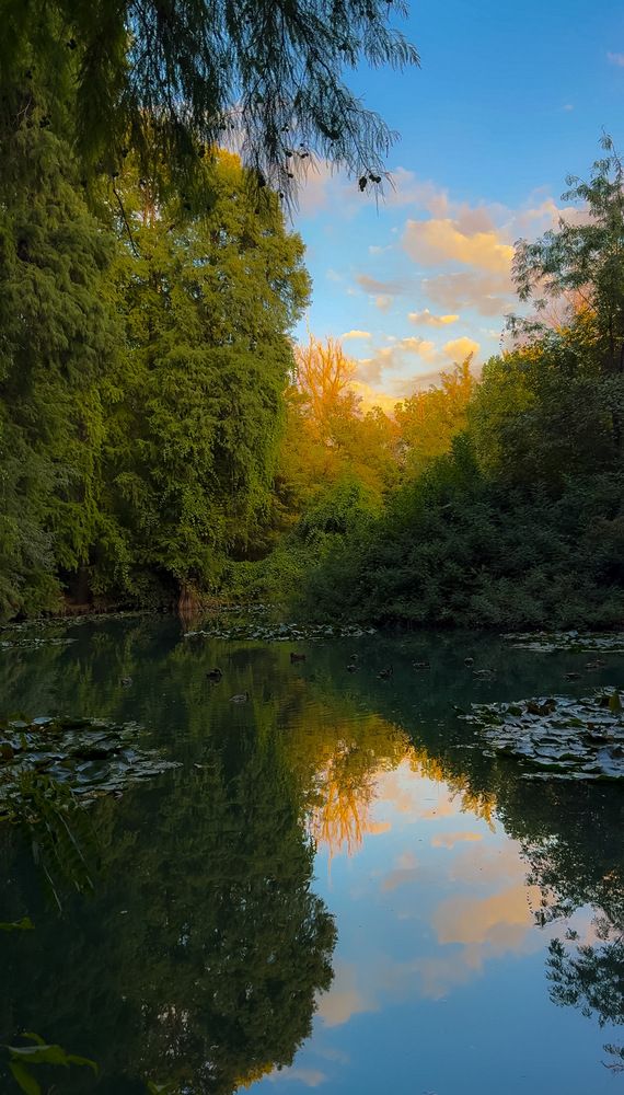 Photograph by Оксана Сафина