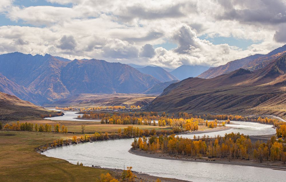 Фотография автора Елена Павлова