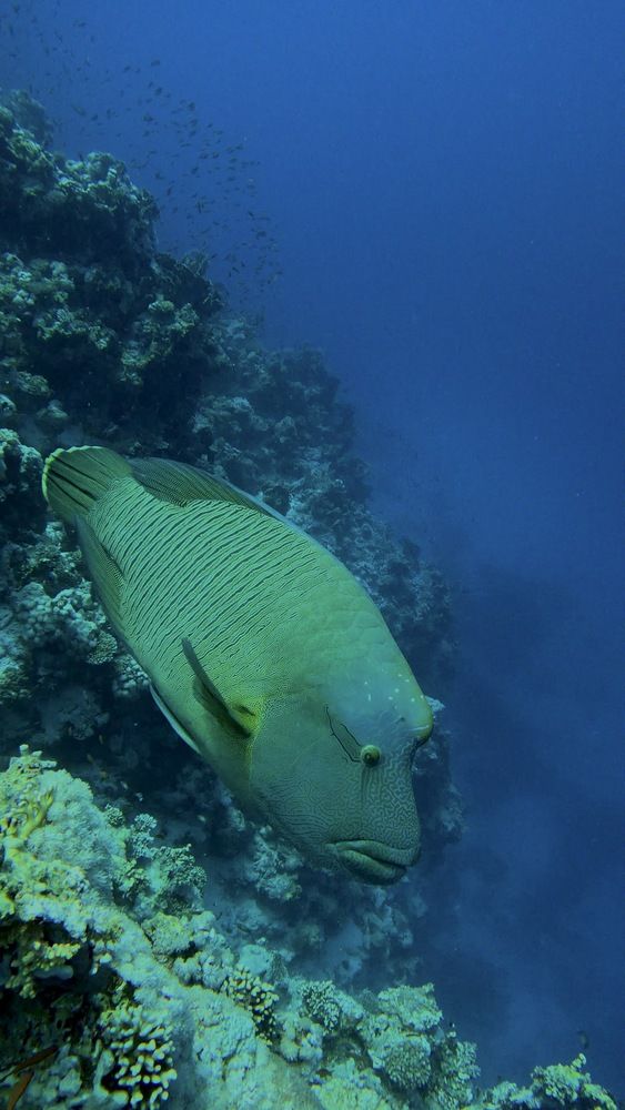 Photograph by Мария Берёзка