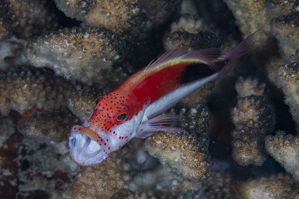 Photograph by Gabriel Vieira Costa