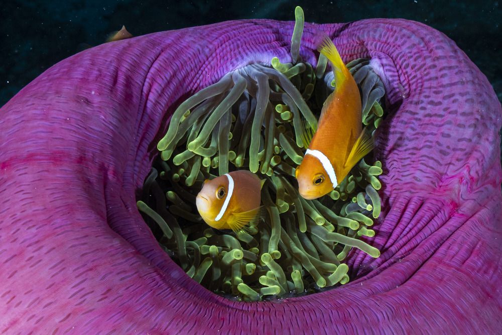 Photograph by Gabriel Vieira Costa