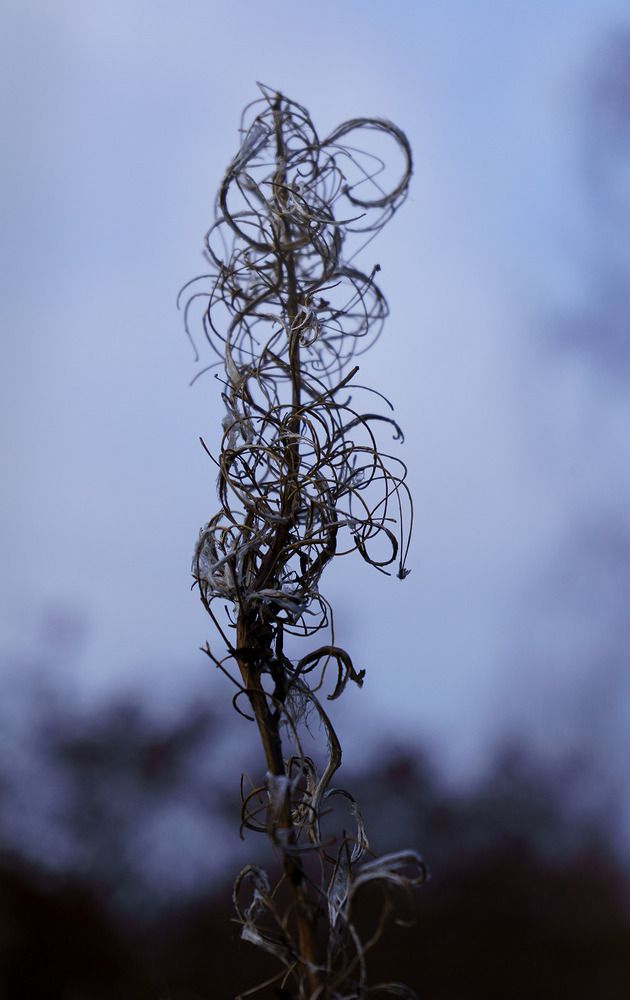 Photograph by Виктория Лаврова