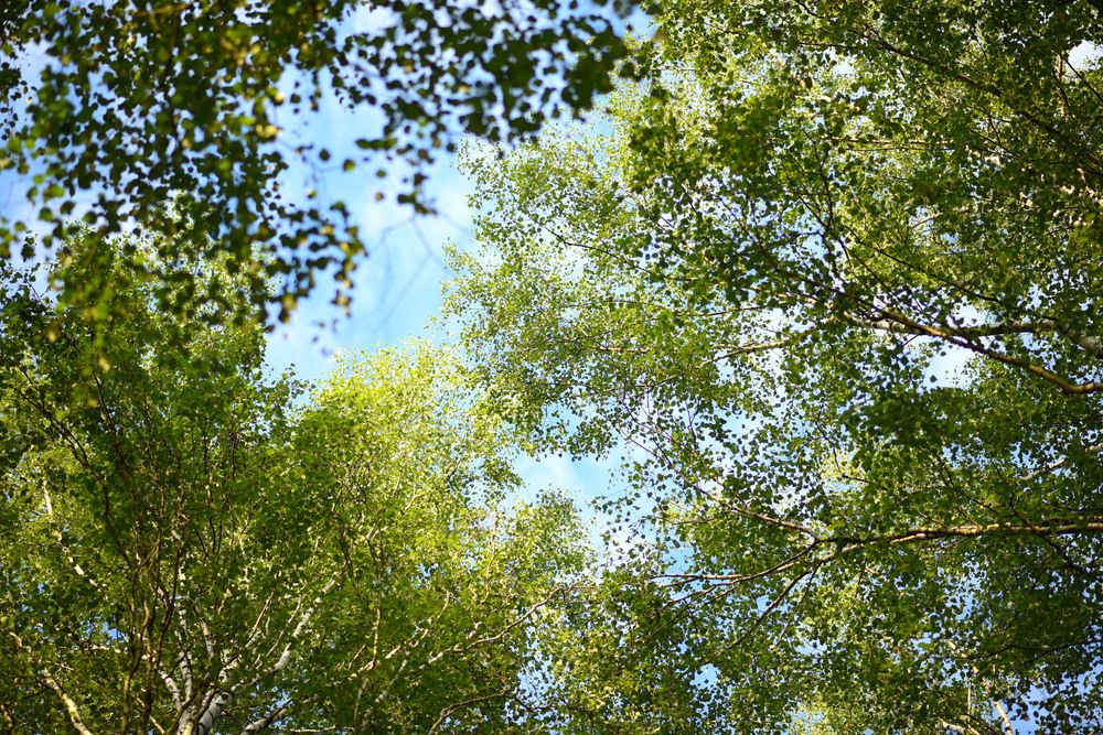 Photograph by Светлана Каменицкая