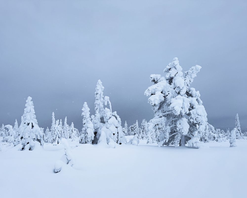 Фотография автора Jørgen Hovde
